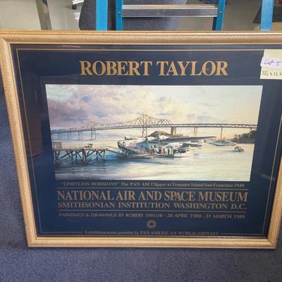 Robert Taylor Framed Plane Art - National Air & Space Museum