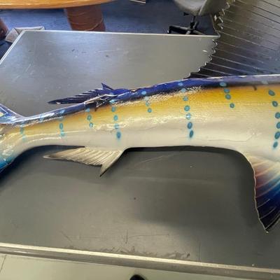 Blue Sailfish 8 foot 5 inches long - Taxidermy Piece