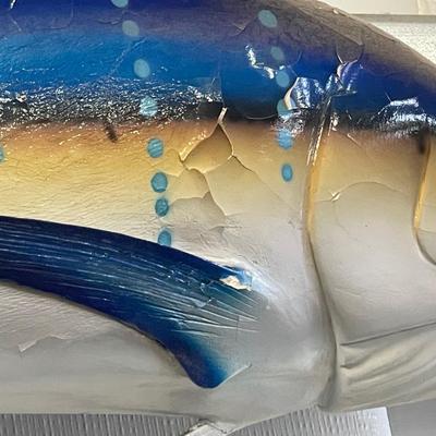 Blue Sailfish 8 foot 5 inches long - Taxidermy Piece