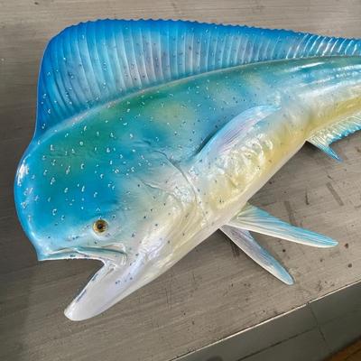 Nice Large Mahi Mahi Fish Mount