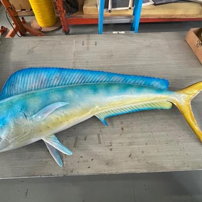 Nice Large Mahi Mahi Fish Mount
