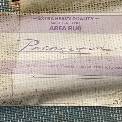 Princeton Area Rug