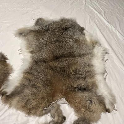 Four Rabbit Pelts