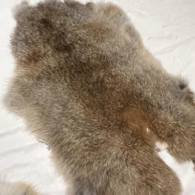 Four Rabbit Pelts