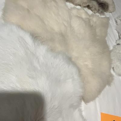 Variety of Light Colored Rabbit Pelts