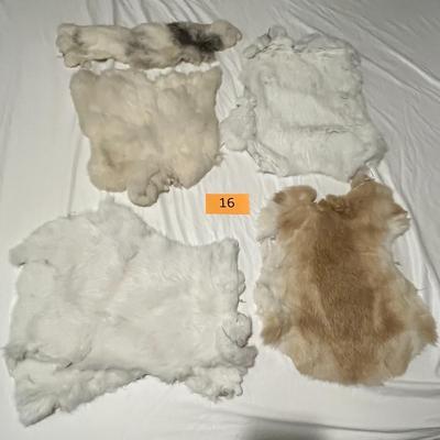 Variety of Light Colored Rabbit Pelts