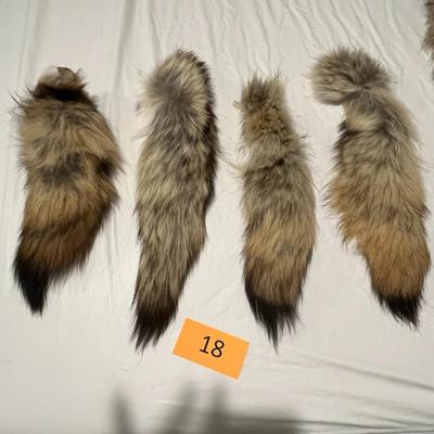 Four Coyote Tails