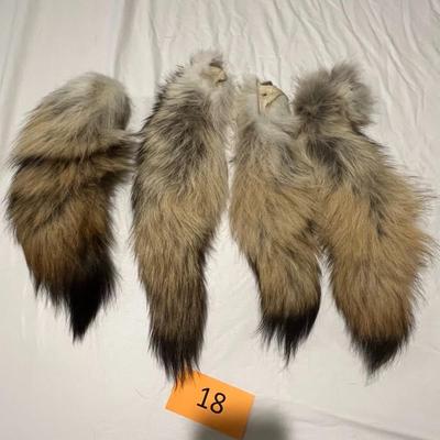 Four Coyote Tails