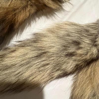 Four Coyote Tails
