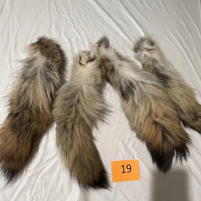 Four Coyote and or Fox Tails