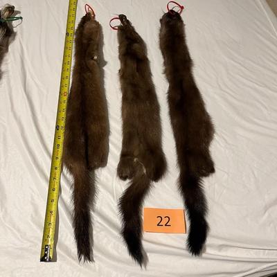 Tanned Tube Hides Mink