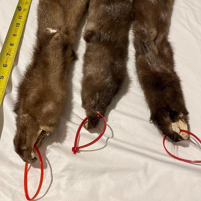 Tanned Tube Hides Mink