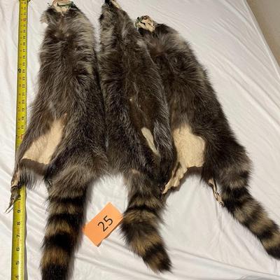 Three Raccoon Tube Hides