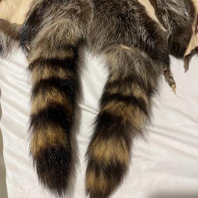 Three Raccoon Tube Hides