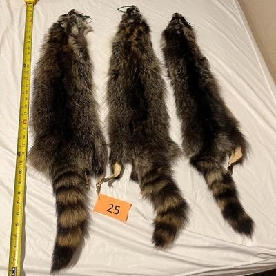 Three Raccoon Tube Hides