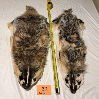 set of 2 Badger Hides Tanned