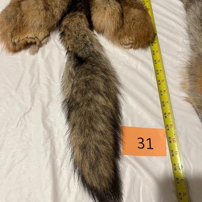 Coyote Hides Tanned Tubes