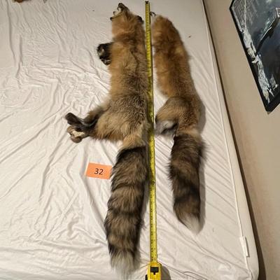 Fox Hides