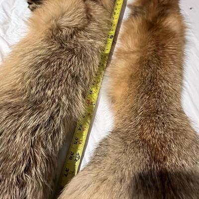 Fox Hides