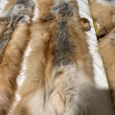 Tanned Fox Tube Hides