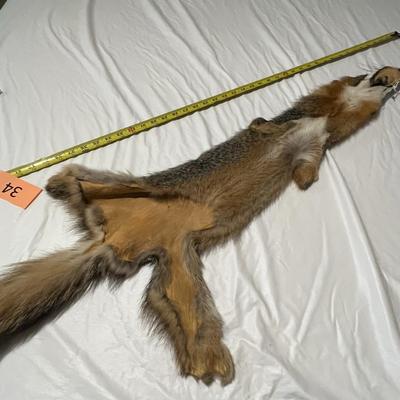 Single Tube Hide Fox?