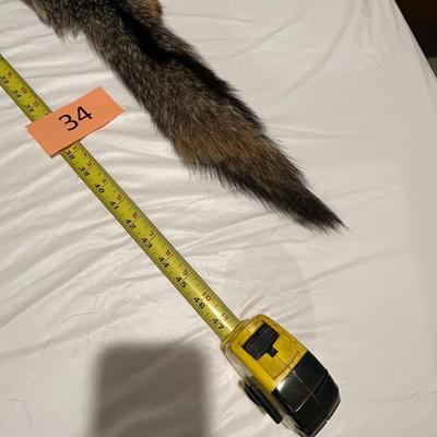 Single Tube Hide Fox?