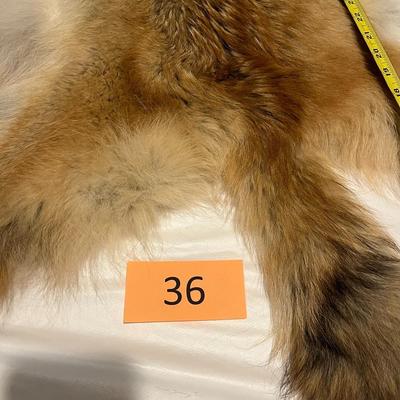 Tanned Fox Hide