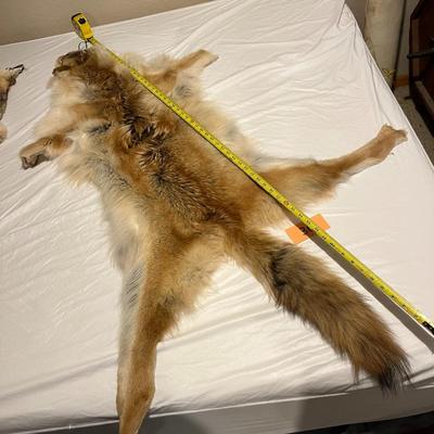 Tanned Fox Hide