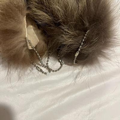 Raccoon Tails