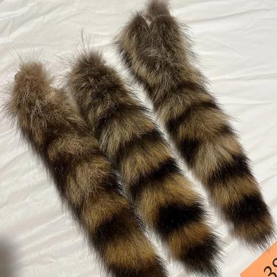 Raccoon Tails