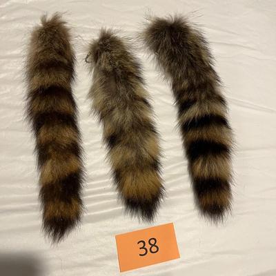 Raccoon Tails