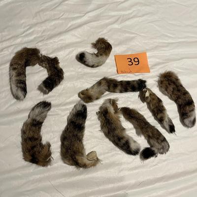 Bobcat Tails