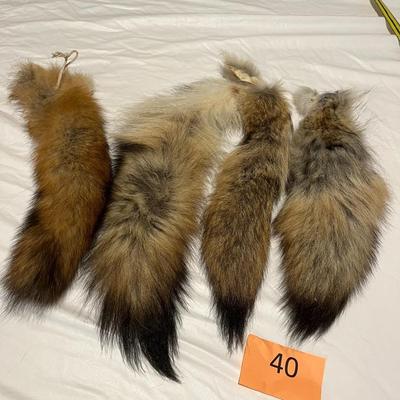Fox/Coyote Tails