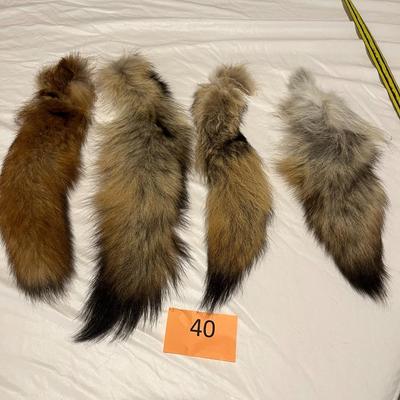 Fox/Coyote Tails