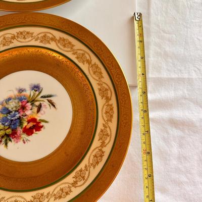 6 Pc Royal Bavarian China Plate Set