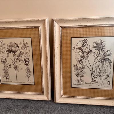 Pair of Framed Prints