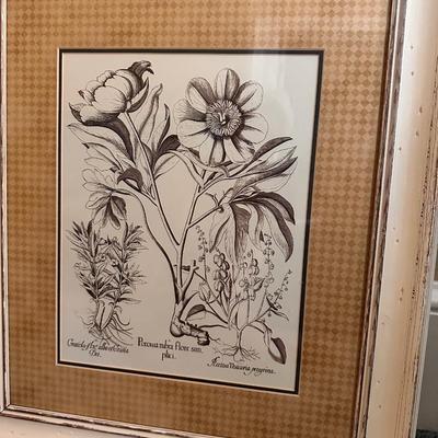 Pair of Framed Prints
