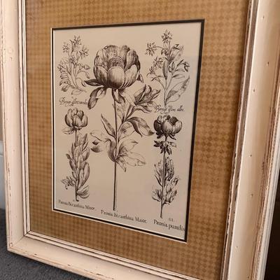 Pair of Framed Prints