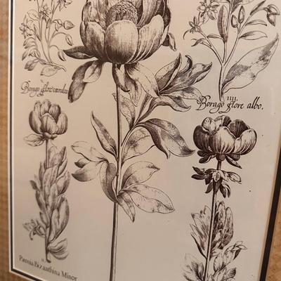 Pair of Framed Prints