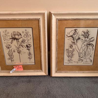 Pair of Framed Prints