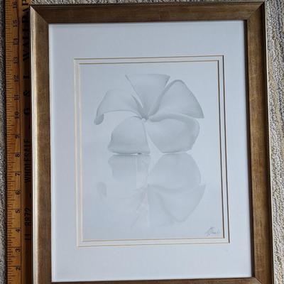 Monica & Michael Sweet Giclee Photo Print "Plumeria II" from Hawaii Signed