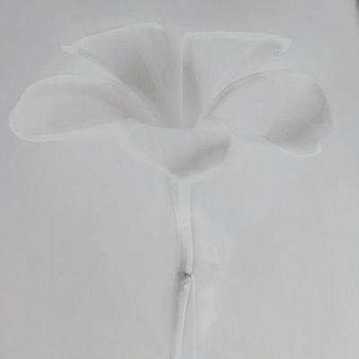 Monica & Michael Sweet Giclee Photo Print "Plumeria" from Hawaii Signed