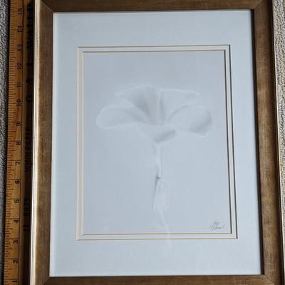 Monica & Michael Sweet Giclee Photo Print "Plumeria" from Hawaii Signed