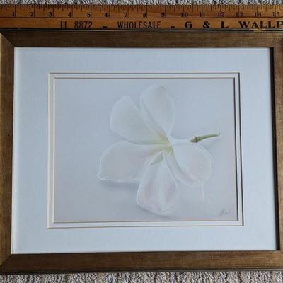 Monica & Michael Sweet Giclee Photo Print "Plumeria III" from Hawaii Signed
