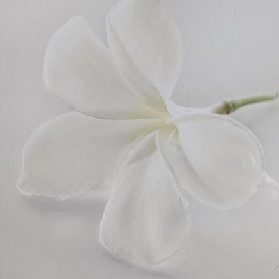 Monica & Michael Sweet Giclee Photo Print "Plumeria III" from Hawaii Signed