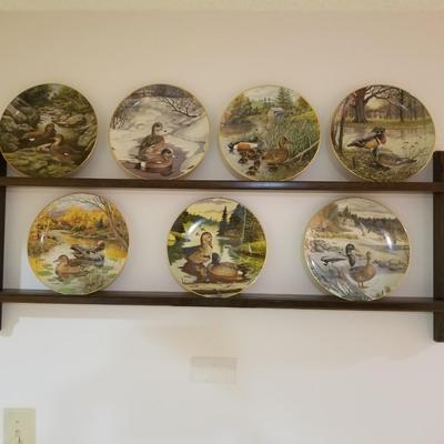 Collector Plates on Rack