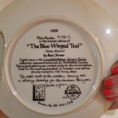 Collector Plates on Rack