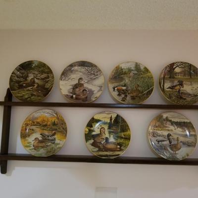 Collector Plates on Rack