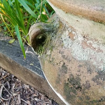 Large Planter Pot