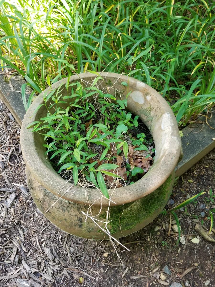 large-planter-pot-estatesales